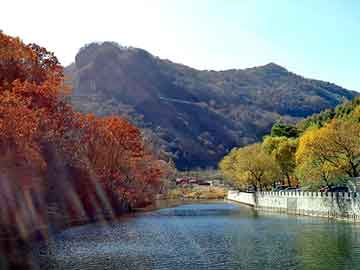 新澳天天开好彩资料大全，雷山seo建站